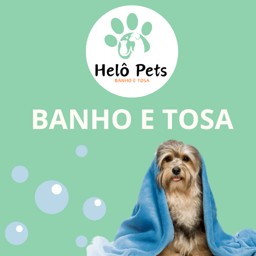 banho e tosa